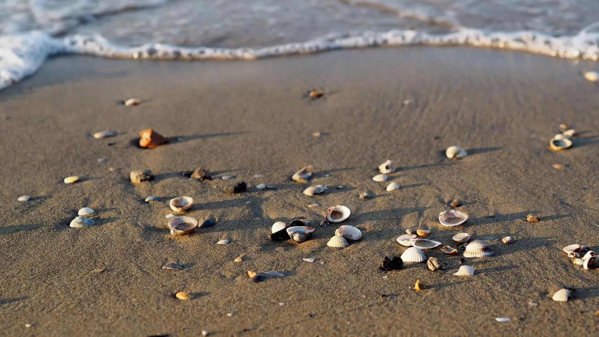 Holiday In Bibione By The Beach - Beahost Italy